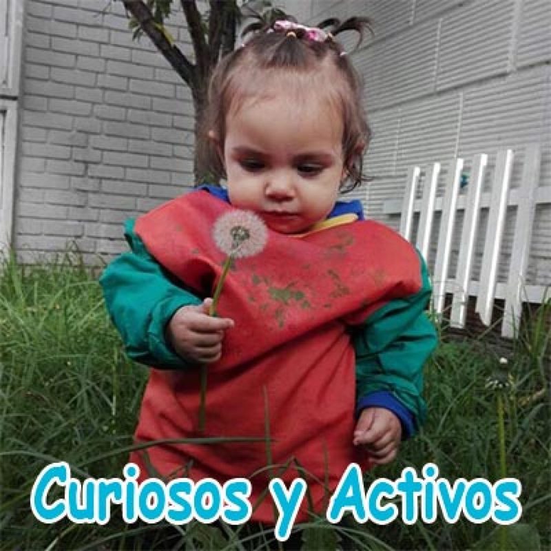 Curiosos y Activos - 12 a 24 meses